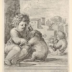 Child teaching dog sit child seated left wall