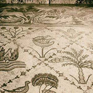 East Jordan Dead Sea Mosaic floor House Sunaa