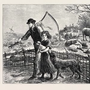 The Foster Lamb, 1873