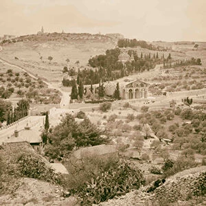 Olivet Gethsemane foreground 1898 Jerusalem Israel