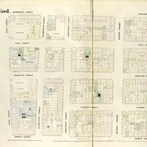 Plate 38: Map bounded by Hamersley Street, Varick Street, Spring Street, West Street