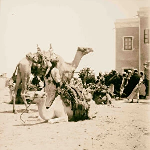 Sinai 1898 Egypt