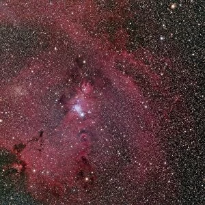 NGC 2264, the Cone and Christmas Tree Nebula