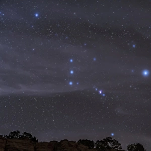 The Orion constellation rises over a hill through high thin clouds