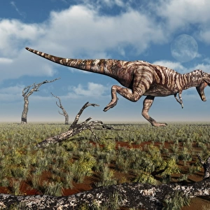 A Tyrannosaurus Rex giving chase to an Ankylosaurus