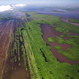 Aerial view of the parallel bars at Marismas Nacionales, the largest mangrove coastal ecosystem in the Mexican Pacific and habitat for the Jaguar, Nayarit, Mexico. October