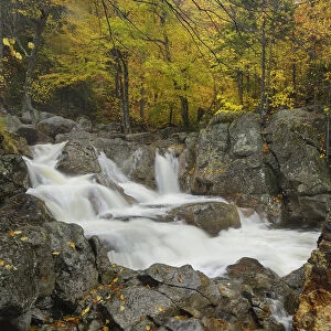 Ellis River downstream flowing over large rocks, White Mountain National Forest, New Hampshire