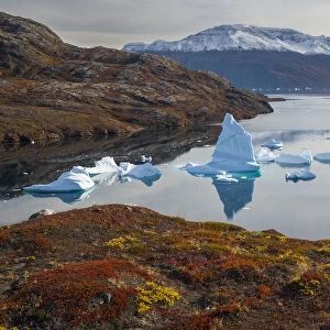 Icebergs and autumn tundra near Rode O (Red Island) in Rode Fjord (Red Fjord), Scoresby Sund