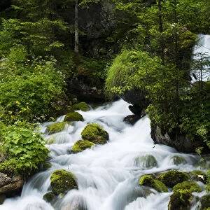 River Zadnjica, cascading past moss covered stones, Triglav National Park, Slovenia