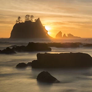 Rock formations silhouetted at sunset on the Pacfic coast of Olympic National Park
