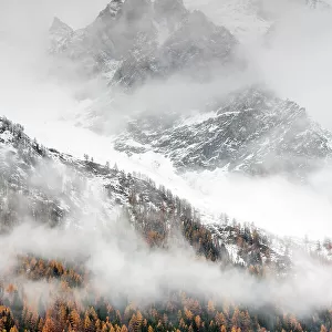 Snow covered mountain sides in Valsavarenche Valley with European larch (Larix decidua) trees in autumn, Gran Paradiso National Parks, Italy, November 2014. Highly commended in the Portfolio category of the Terre Sauvage Nature Images Awards 2017