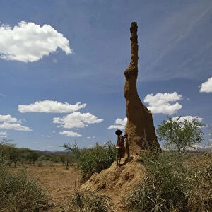 Termite (Isoptera) colony with six-metre high cooling chimney, Bogoria, Kenya