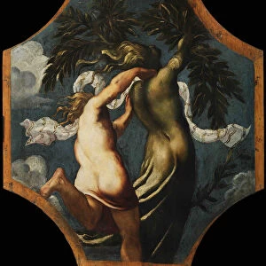 Apollo and Daphne, ca 1541. Creator: Tintoretto, Jacopo (1518-1594)