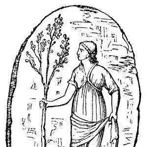 The goddess Minerva holding a young olive tree