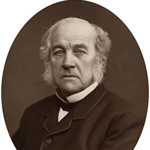 Samuel Morley, MP, industrialist and politician, 1882. Artist: Lock & Whitfield