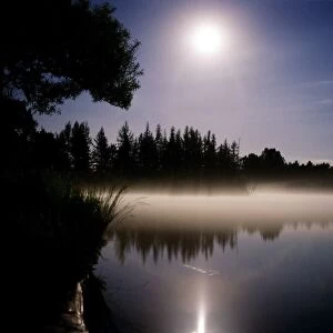 Moonlight On Misty Lake