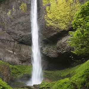 Narrow Waterfall With Moss Covered Cliffs; Oregon, United States of America