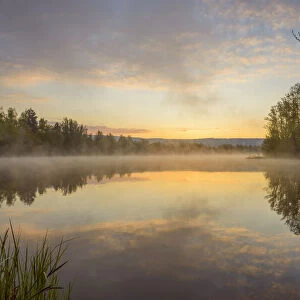 Pastel sky reflected in lake with morning mist at dawn in Mondfeld, Wertheim in Baden-Wurttemberg, Germany