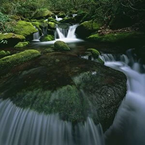 Tennessee, United States Of America; Moss And Curved Cascade In The Roaring Fork River In Great Smoky Mountains National Park