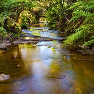 Tranquil river, Blue Mountains, New South Wales, Australia
