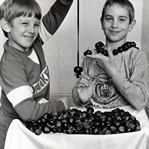 Conkers - Playing conkers, brothers, Rhys (left) aged 7 and Huw Pockett, aged 8