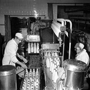 Dobsons Dairies October 1966 Workersr on Bottling and Packaging Machinery