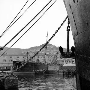 Port of Trieste
