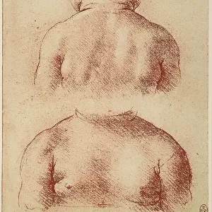 Study for the sculpture of a child bust. Sanguine drawing on pinkish paper, by Leonardo da Vinci, preserved at the Royal Library of Windsor