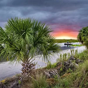 Florida, Everglades, Arthur R. Marshall Loxahatchee Wildlife Refuge