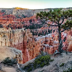 Utah, Bryce Canyon National Park, Colorado Plateau